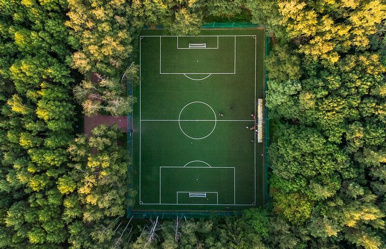 Fußballfeld im Wald
